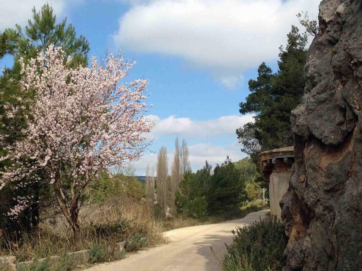 Вилла Casa El Pinar Бесейте Экстерьер фото